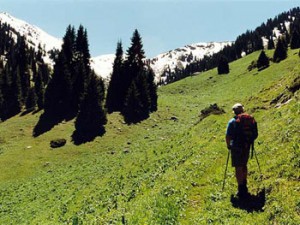 V Buriatii spasli turista, poteriavshegosia v gorakh